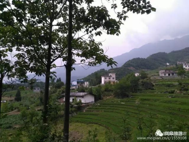 什么地方生产高山富硒茶(高山富硒茶属于什么茶)-硒宝网