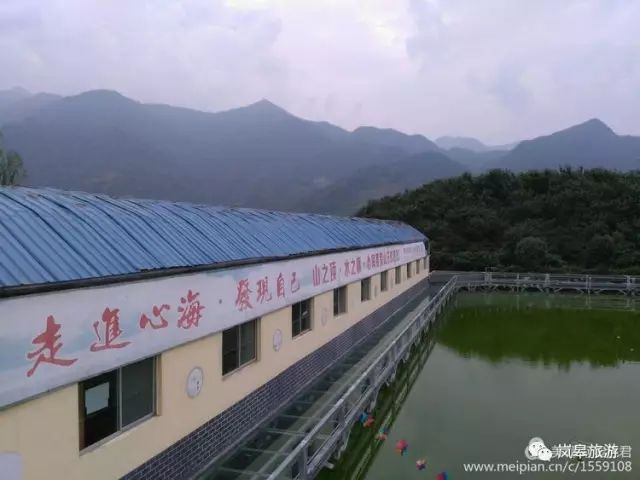 什么地方生产高山富硒茶(高山富硒茶属于什么茶)-硒宝网