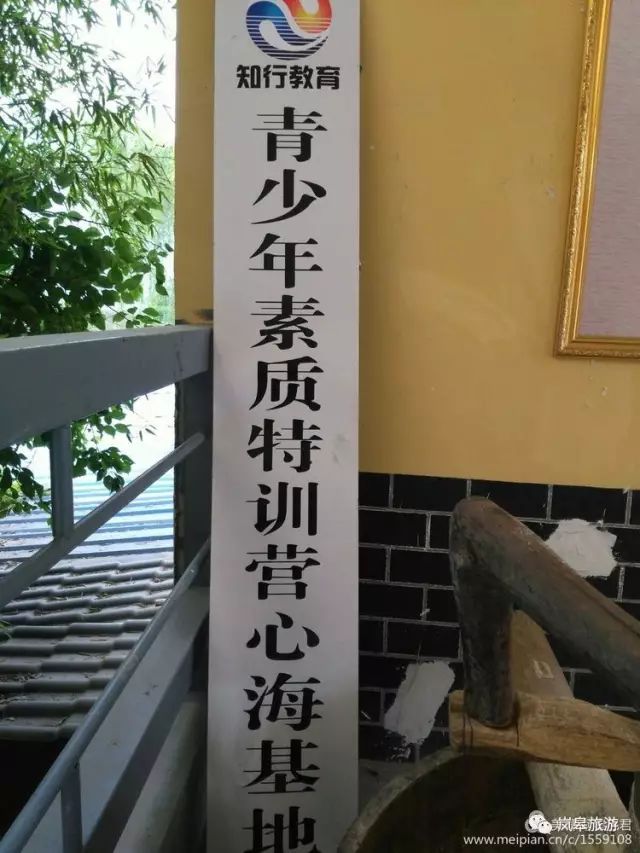 什么地方生产高山富硒茶(高山富硒茶属于什么茶)-硒宝网