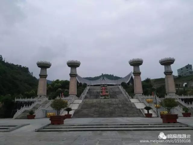 什么地方生产高山富硒茶(高山富硒茶属于什么茶)-硒宝网