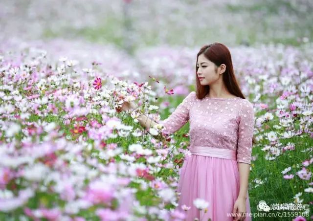 什么地方生产高山富硒茶(高山富硒茶属于什么茶)-硒宝网