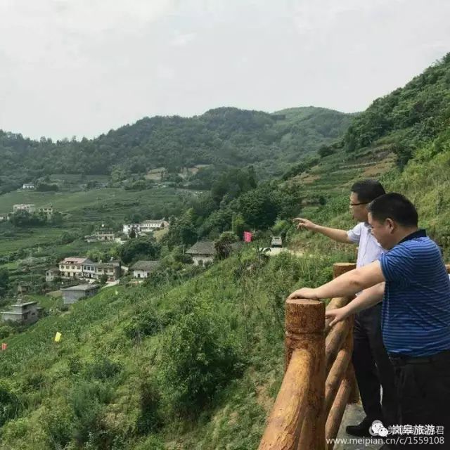 什么地方生产高山富硒茶(高山富硒茶属于什么茶)-硒宝网