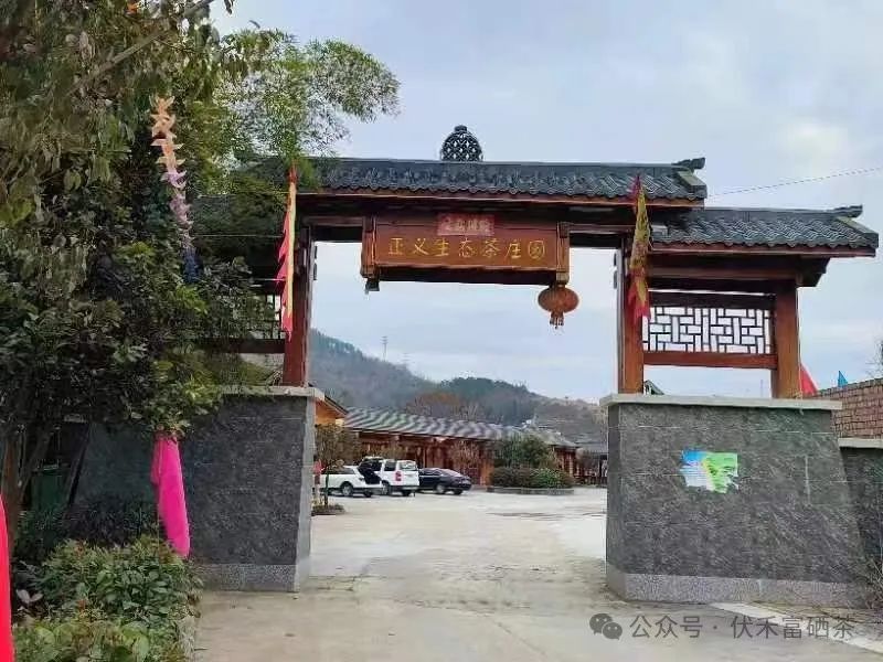 富硒茶的竞争优势和优点(优质茶的基本条件)-硒宝网