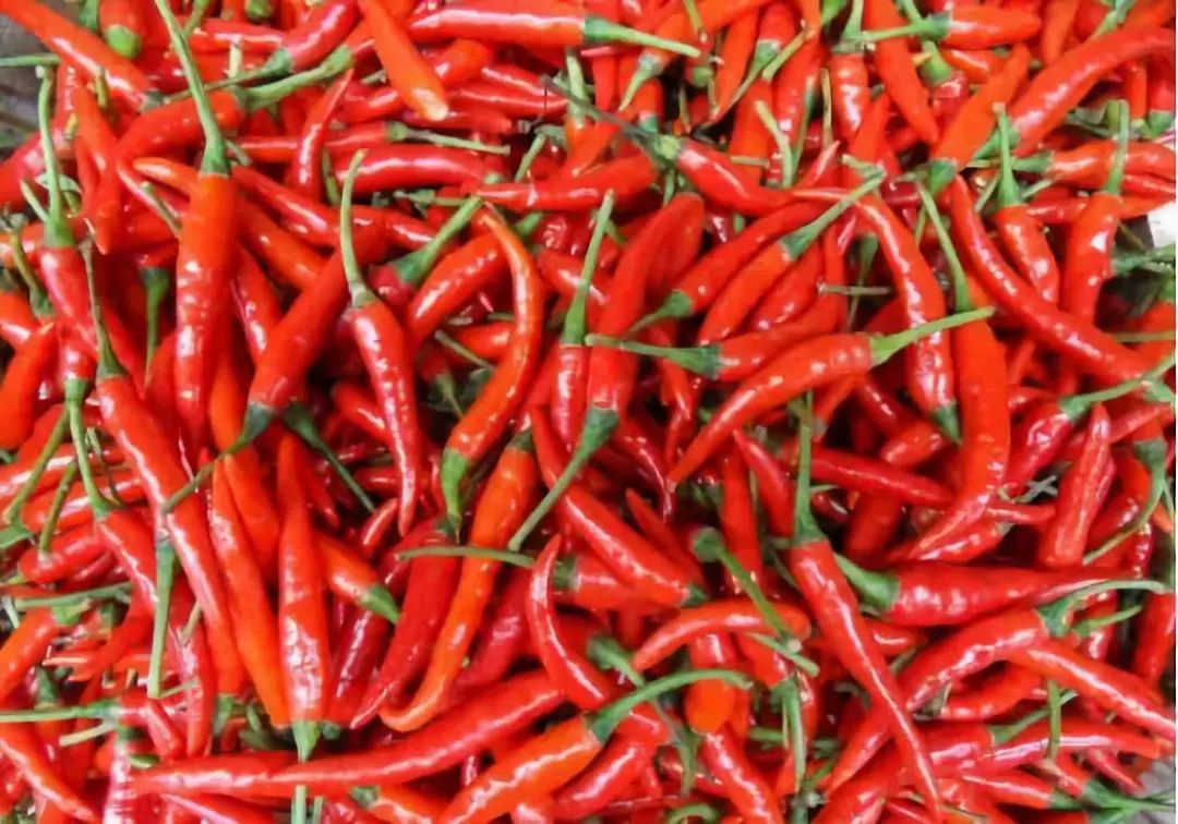 云南富硒荞子茶哪里有卖（富硒荞子茶有副作用吗）-硒宝网