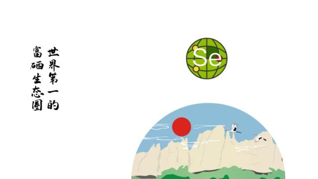 江夏区好喝的富硒茶玉露（恩施玉露富硒茶多少钱）-硒宝网