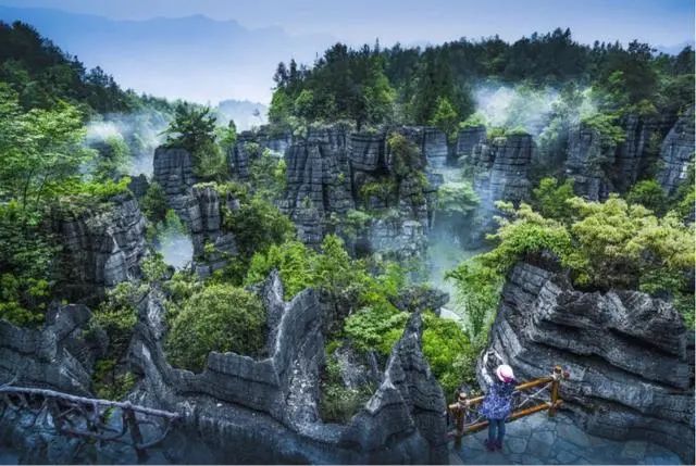 湖北张家界富硒茶的功效（张家界土壤富硒的乡村）-硒宝网