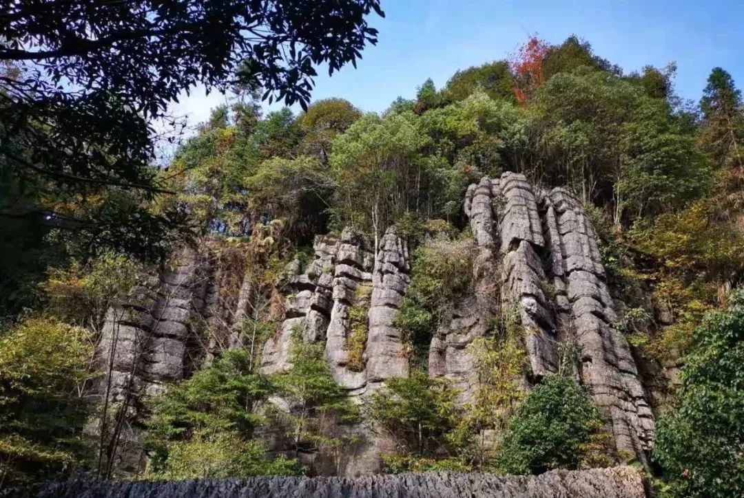 湖北张家界富硒茶的功效（张家界土壤富硒的乡村）-硒宝网