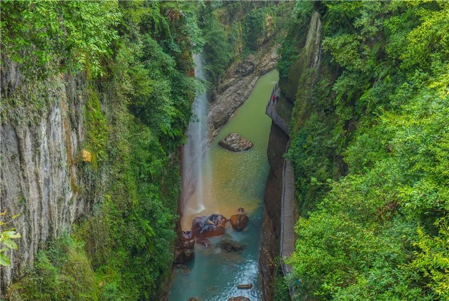 湖北张家界富硒茶的功效（张家界土壤富硒的乡村）-硒宝网