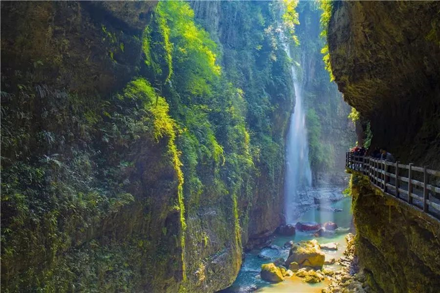湖北张家界富硒茶的功效（张家界土壤富硒的乡村）-硒宝网