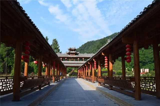 湖北张家界富硒茶的功效（张家界土壤富硒的乡村）-硒宝网