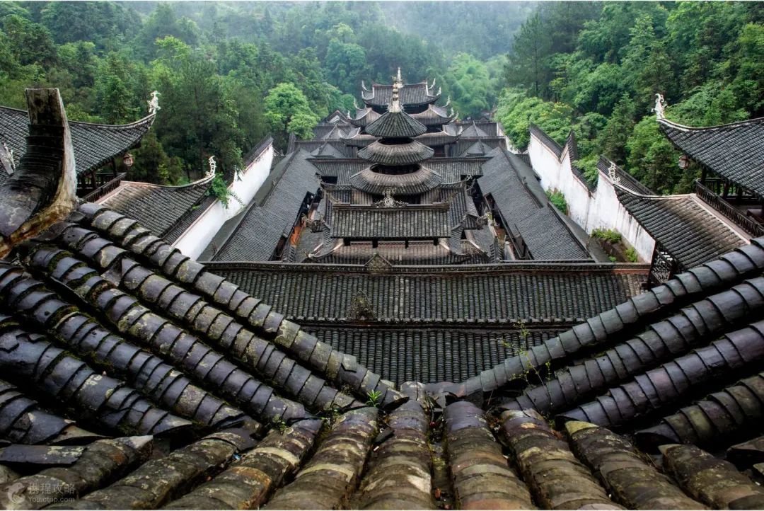 湖北张家界富硒茶的功效（张家界土壤富硒的乡村）-硒宝网