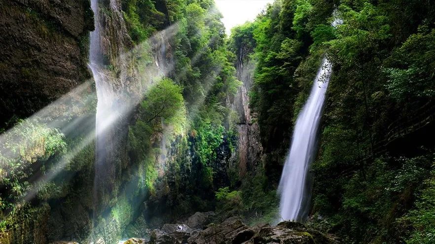 湖北张家界富硒茶的功效（张家界土壤富硒的乡村）-硒宝网