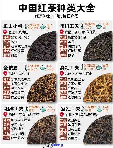 富硒白茶和普洱茶哪个好（富硒白茶多少钱一斤）-硒宝网