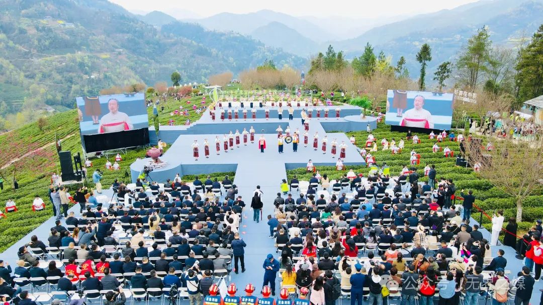 安康富硒茶和紫阳富硒茶(紫阳富硒茶厂)-硒宝网