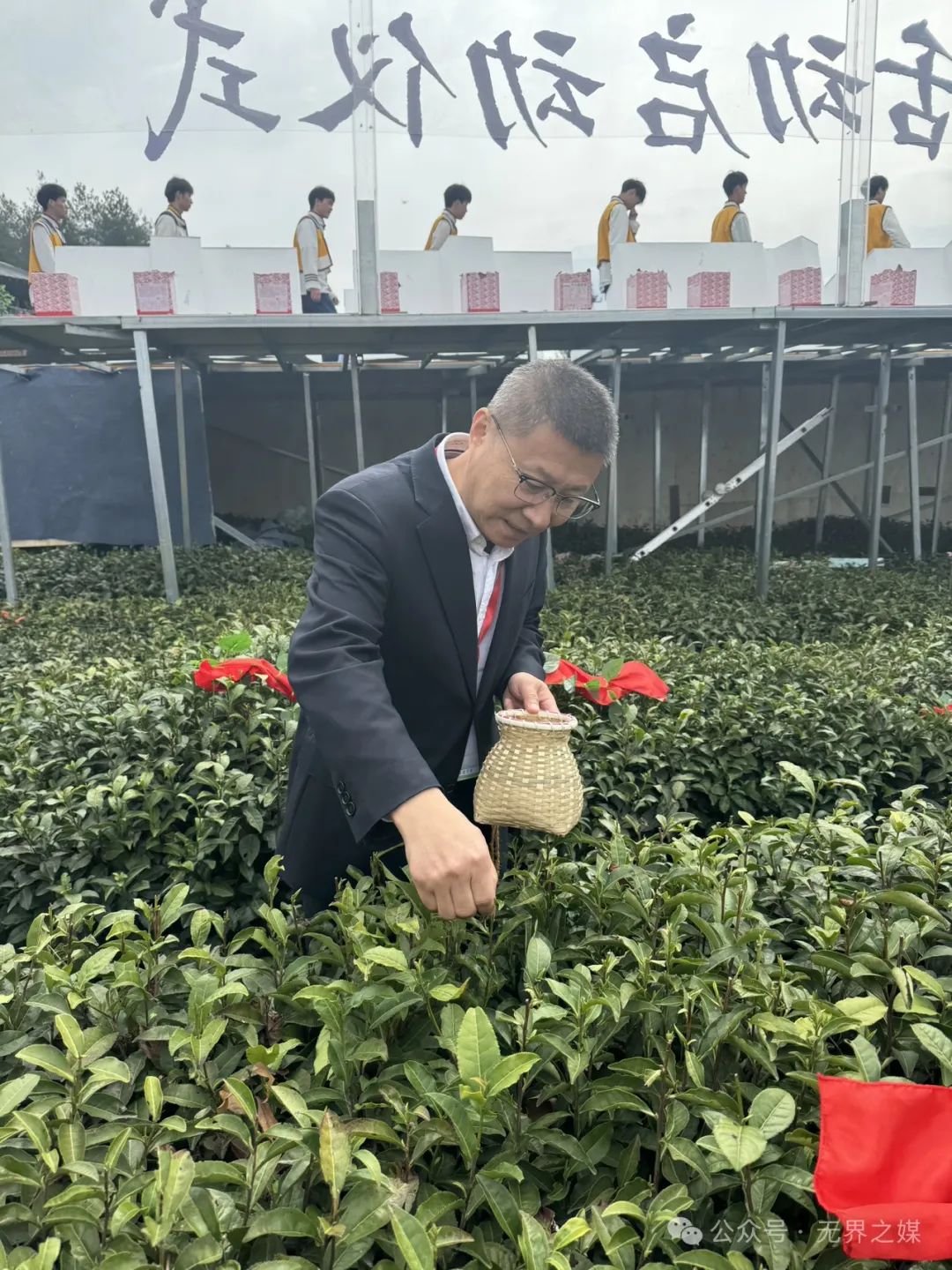 安康富硒茶和紫阳富硒茶(紫阳富硒茶厂)-硒宝网