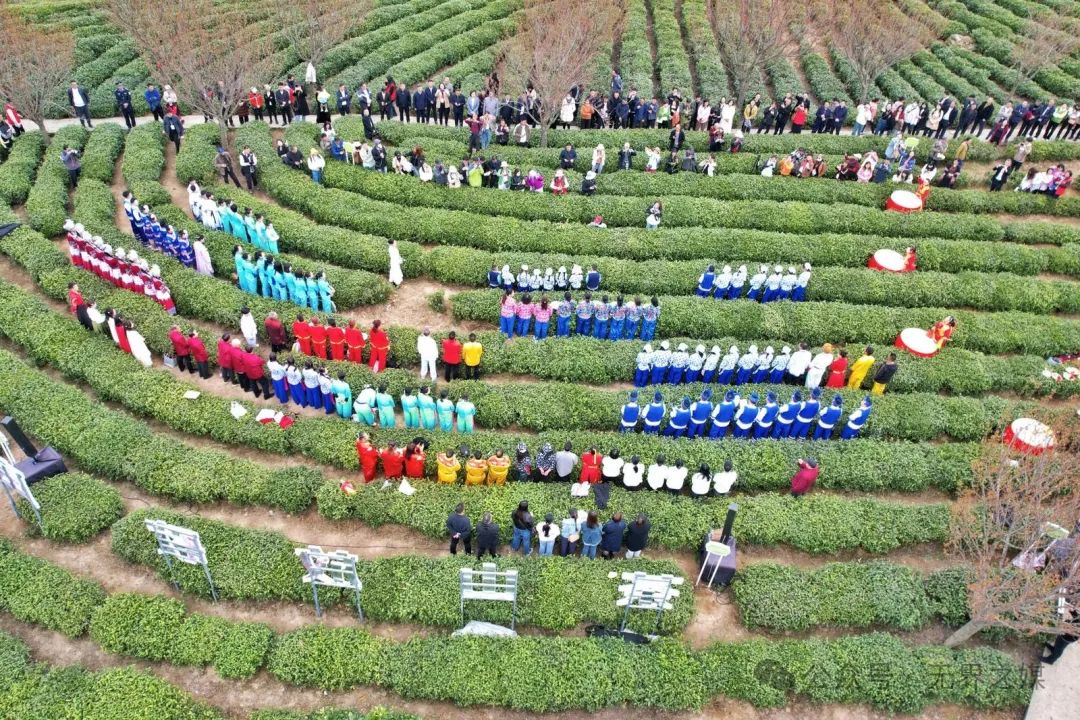 安康富硒茶和紫阳富硒茶(紫阳富硒茶厂)-硒宝网