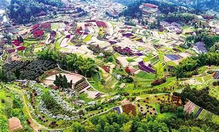 江津富硒茶土壤富硒含量(富硒茶叶标准)-硒宝网