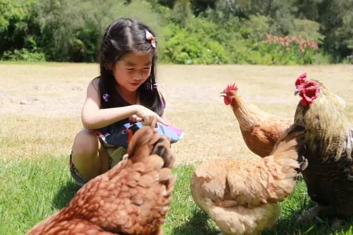 江津富硒茶土壤富硒含量(富硒茶叶标准)-硒宝网