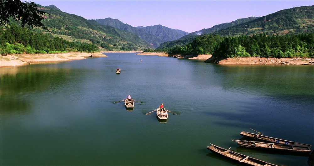 江津富硒茶土壤富硒含量(富硒茶叶标准)-硒宝网