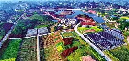 江津富硒茶土壤富硒含量(富硒茶叶标准)-硒宝网