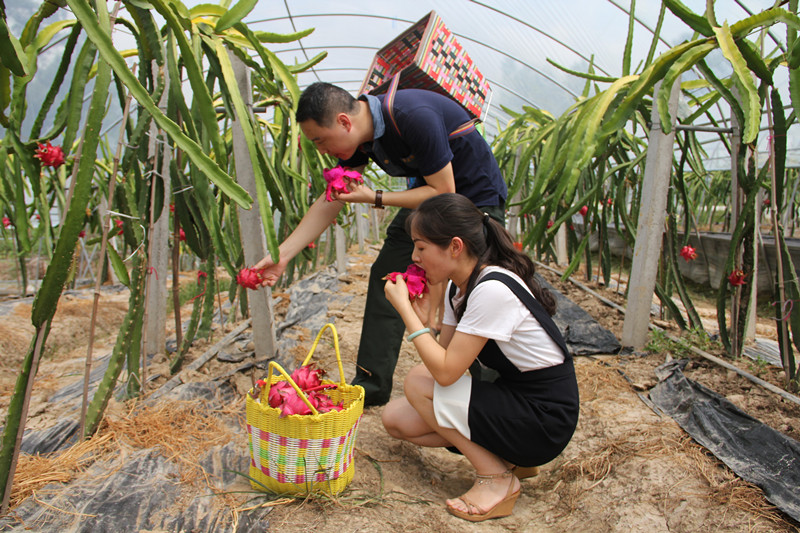 江津富硒茶土壤富硒含量(富硒茶叶标准)-硒宝网