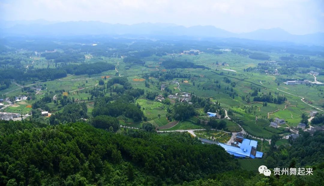 淘宝富硒茶锌硒茶能买吗(锌硒茶的骗局)-硒宝网