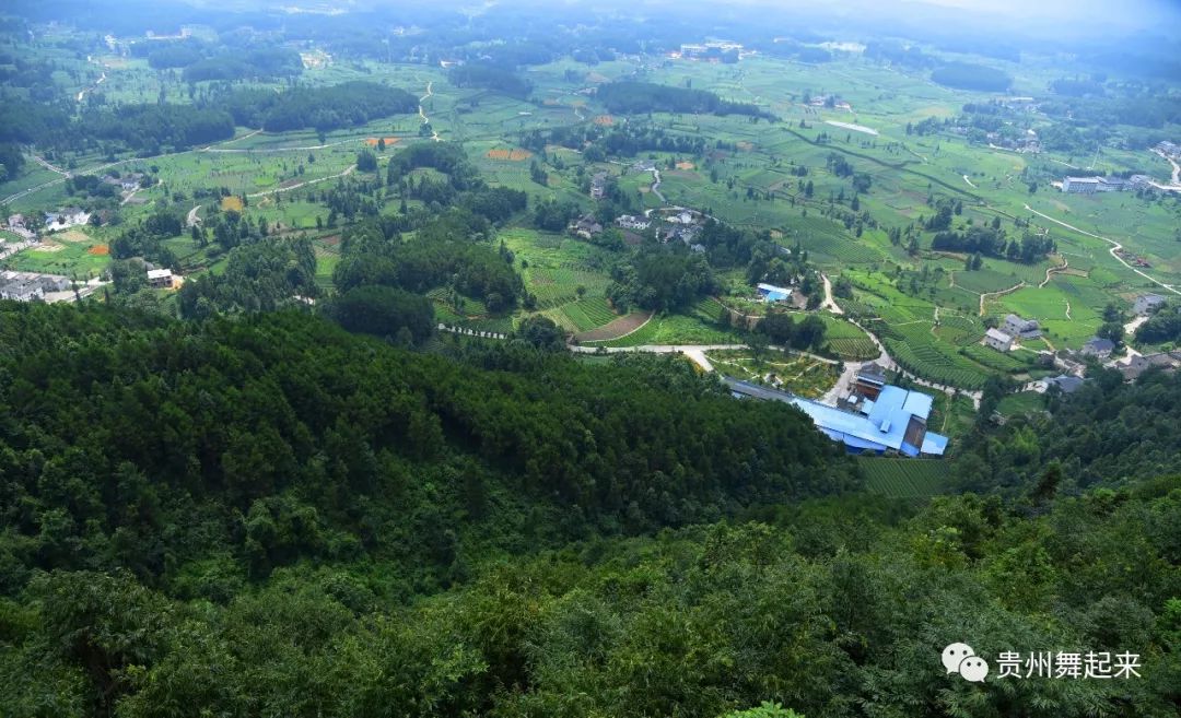 淘宝富硒茶锌硒茶能买吗(锌硒茶的骗局)-硒宝网