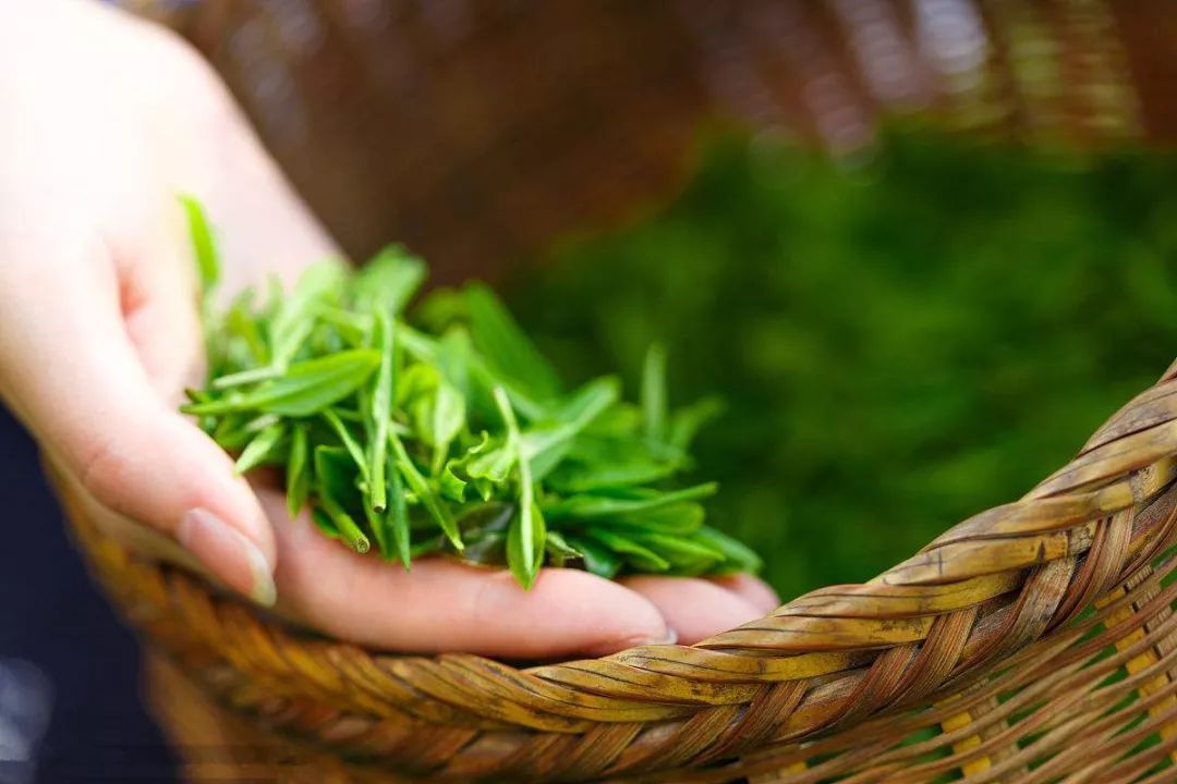 富硒茶的土质富含硒元素(茶叶富含硒元素的)-硒宝网