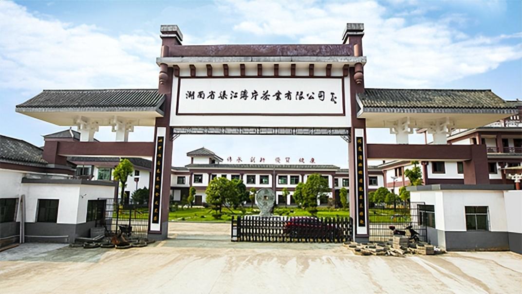 原生富硒茶 红茶 黄茶(原生态富硒茶叶)-硒宝网