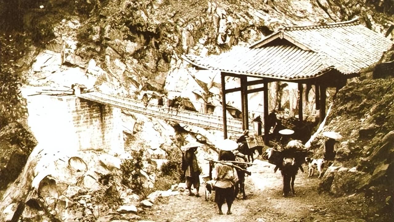 原生富硒茶 红茶 黄茶(原生态富硒茶叶)-硒宝网