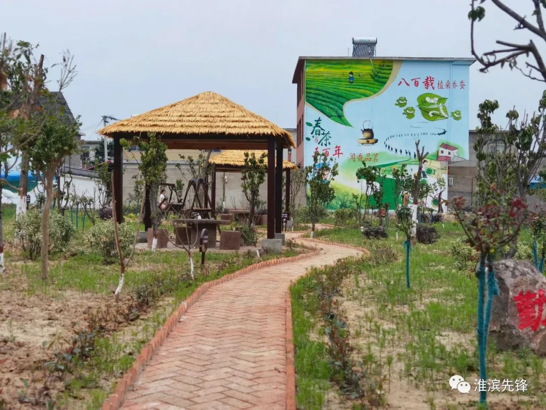 富硒茶的土质富含硒元素(各种茶叶含硒排行榜)-硒宝网