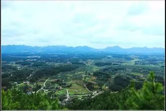 贵州凤冈富锌富硒茶标语（贵州富硒茶叶价格表）-硒宝网