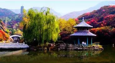 贵州凤冈富锌富硒茶标语（贵州富硒茶叶价格表）-硒宝网