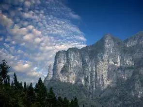 贵州凤冈富锌富硒茶标语（贵州富硒茶叶价格表）-硒宝网