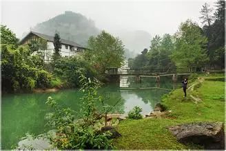 贵州凤冈富锌富硒茶标语（贵州富硒茶叶价格表）-硒宝网