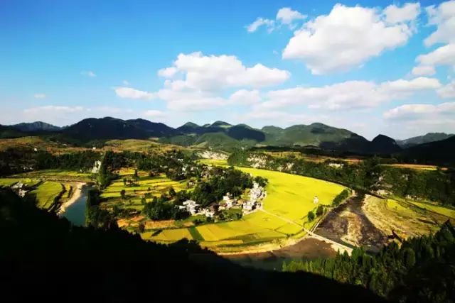 贵州凤冈富锌富硒茶标语（贵州富硒茶叶价格表）-硒宝网