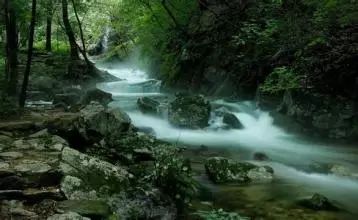 贵州凤冈富锌富硒茶标语（贵州富硒茶叶价格表）-硒宝网