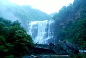 贵州凤冈富锌富硒茶标语（贵州富硒茶叶价格表）-硒宝网