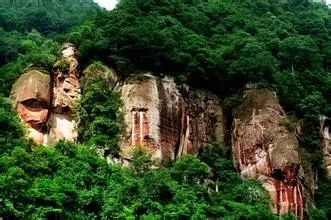 贵州凤冈富锌富硒茶标语（贵州富硒茶叶价格表）-硒宝网