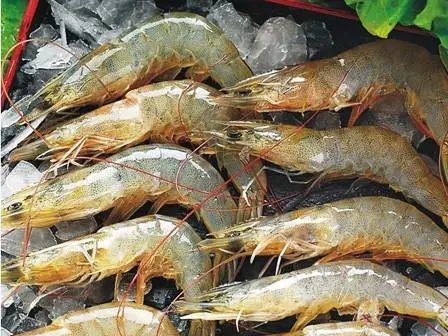 陕南紫阳2020富硒茶(紫阳富硒茶山)-硒宝网