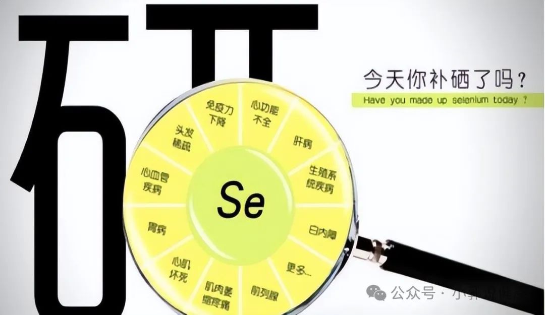 缺硒可以饮富硒茶吗女性(喝富硒茶可以提高免疫力吗)-硒宝网