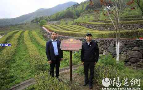 硒含量多少才算富硒茶呢(含量算茶富硒硒嘛)-硒宝网