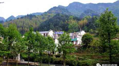 硒含量多少才算富硒茶呢(含量算茶富硒硒嘛)-硒宝网