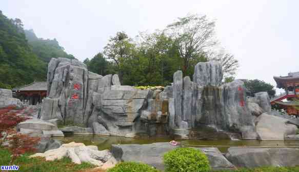 硒含量多少才算富硒茶呢(含量算茶富硒硒嘛)-硒宝网