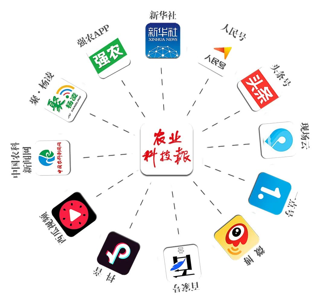 世界硒源富硒茶乡有哪些(富硒茶园)-硒宝网