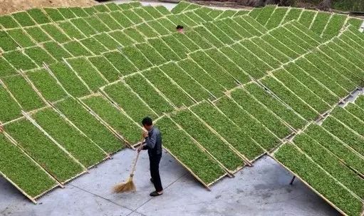 富硒茶属于什么茶类等级(茶叶含硒的标准值)-硒宝网