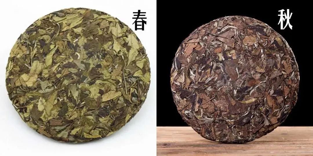 富硒茶属于什么茶类等级(茶叶含硒的标准值)-硒宝网