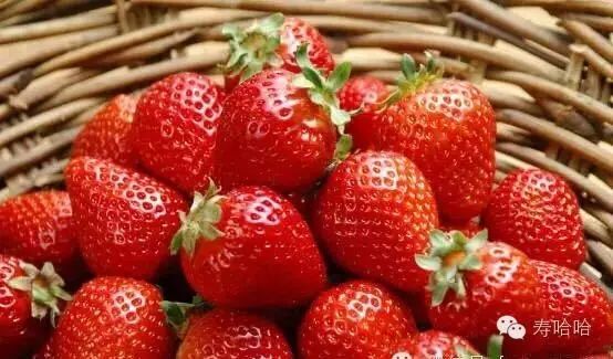 富硒茶中的硒指的是什么（茶叶富硒）-硒宝网