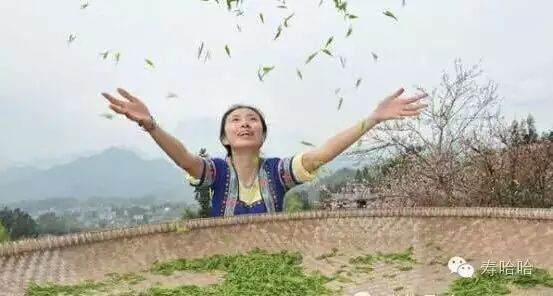 富硒茶中的硒指的是什么（茶叶富硒）-硒宝网