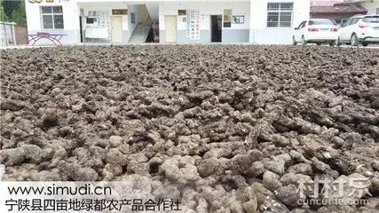 安康富硒茶特色是什么茶（安康富硒茶叶）-硒宝网